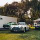 Illustration for article titled Immerse Yourself In Photos Of All The Most Beautiful Classic Cars You Can Imagine